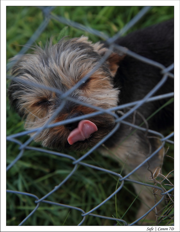 2011 - 05 - Chez Fabrice 22